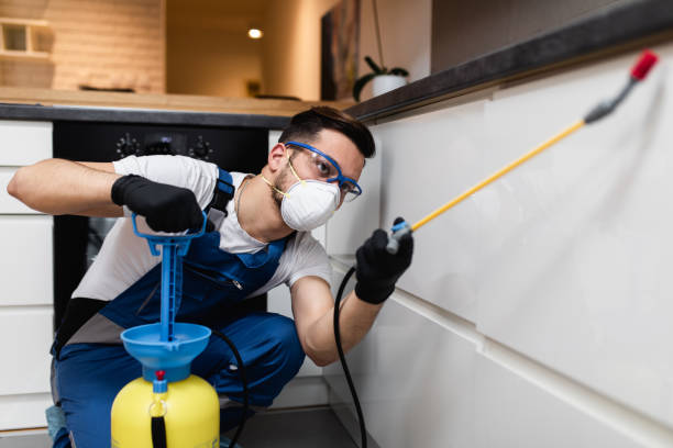 Best Wasp Removal Services  in Cookeville, TN