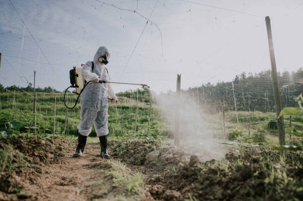 Best Ant Control Services  in Cookeville, TN