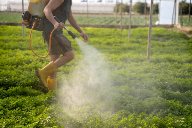 Professional Pest Control in Cookeville, TN