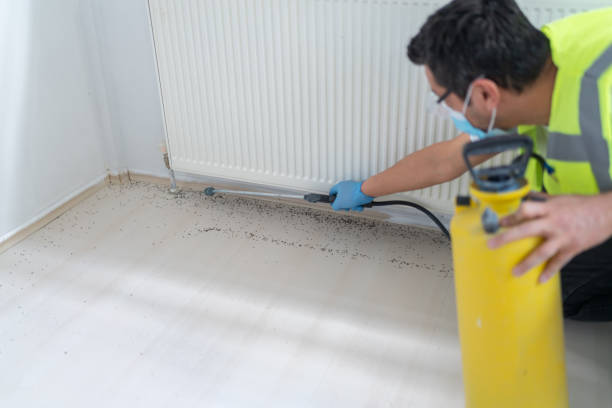 Best Bed Bug Extermination  in Cookeville, TN