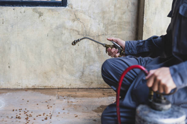 Best Best Pest Control Companies  in Cookeville, TN