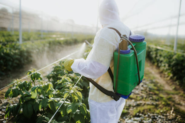 Best Flea Control Services  in Cookeville, TN